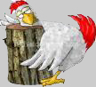 kip op slachtblok